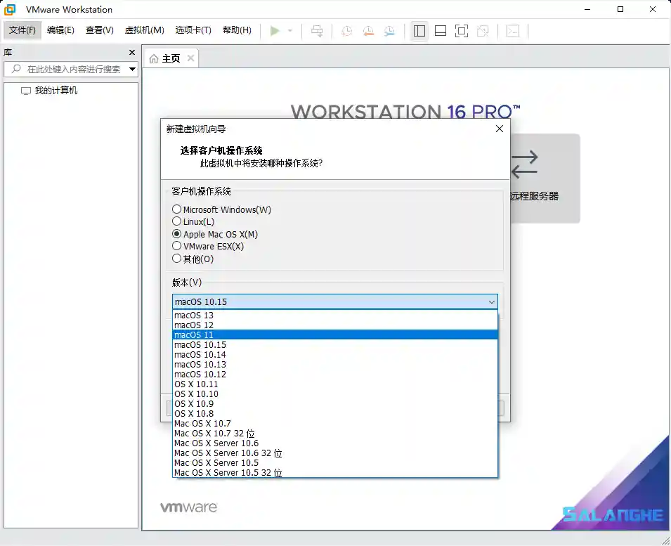 VMware Workstation PRO_v16.2.1 精简版