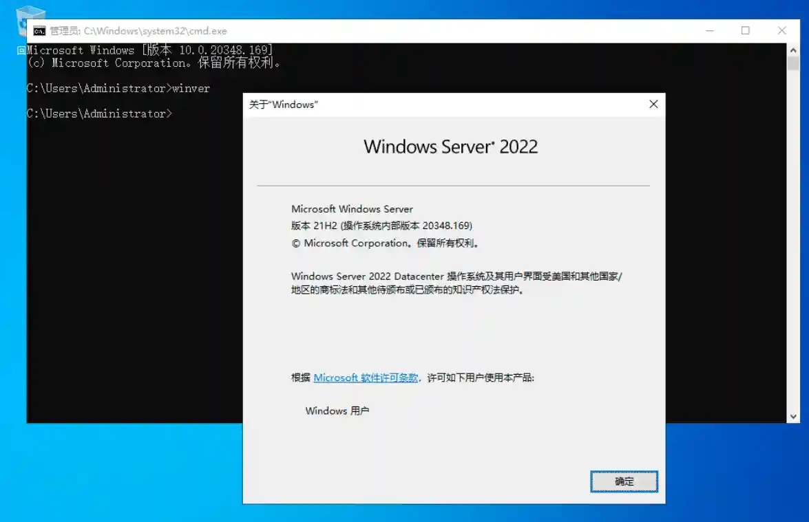 Windows Server 2022 v21H2(20348.1006)