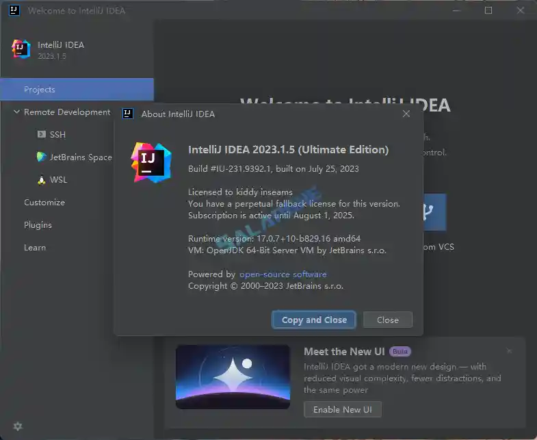 IntelliJ IDEA 中文激活版IDEA 2025.2.4.0 正式版