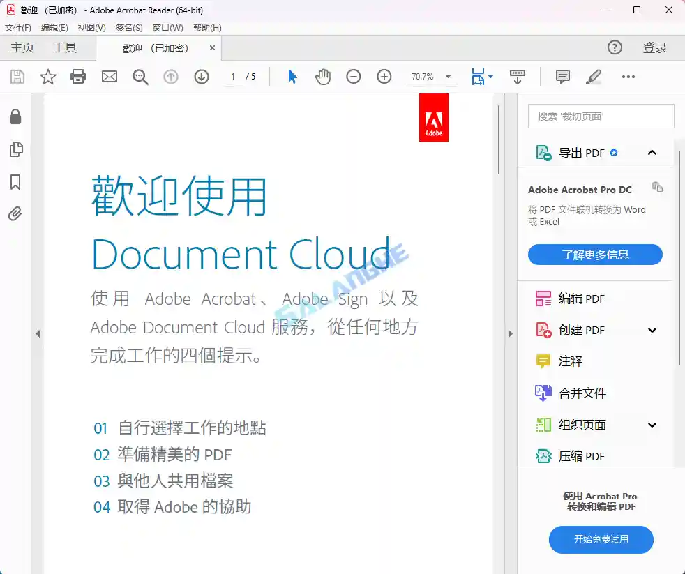 Adobe Acrobat Reader DC v25.001.20813