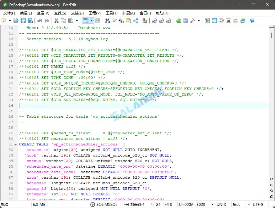 EverEdit文本编辑器 v4.5.0.4500 绿色破解版