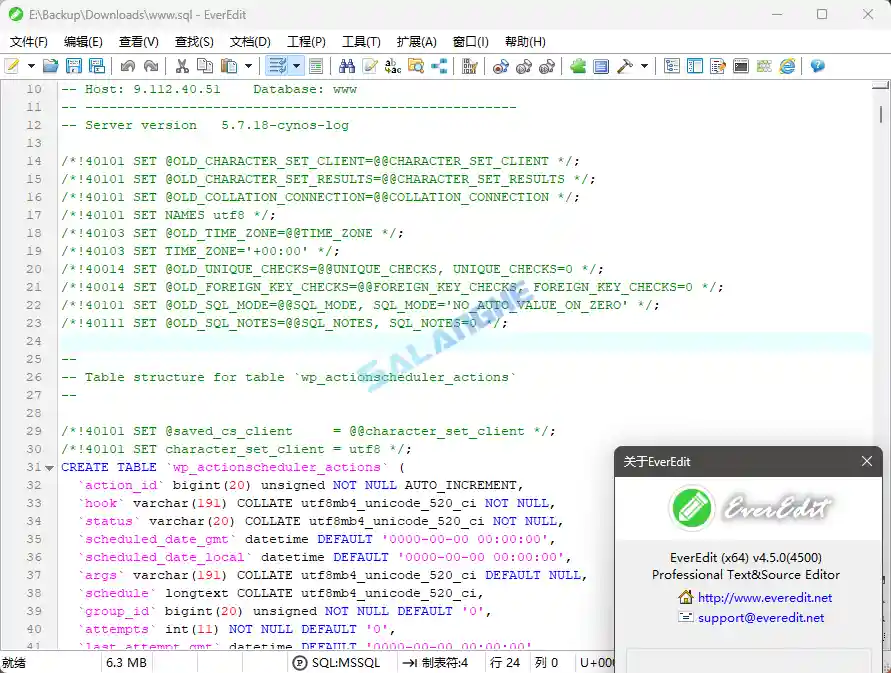 EverEdit文本编辑器 v4.5.0.4500 绿色破解版