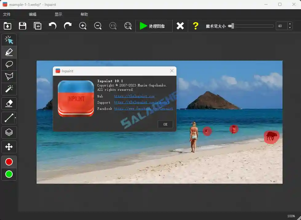 图片去水印工具 Inpaint v10.1.1 中文破解版