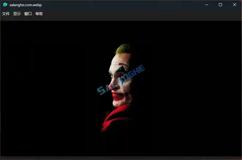 LeafView (图片查看器) v3.9.2 中文绿色版