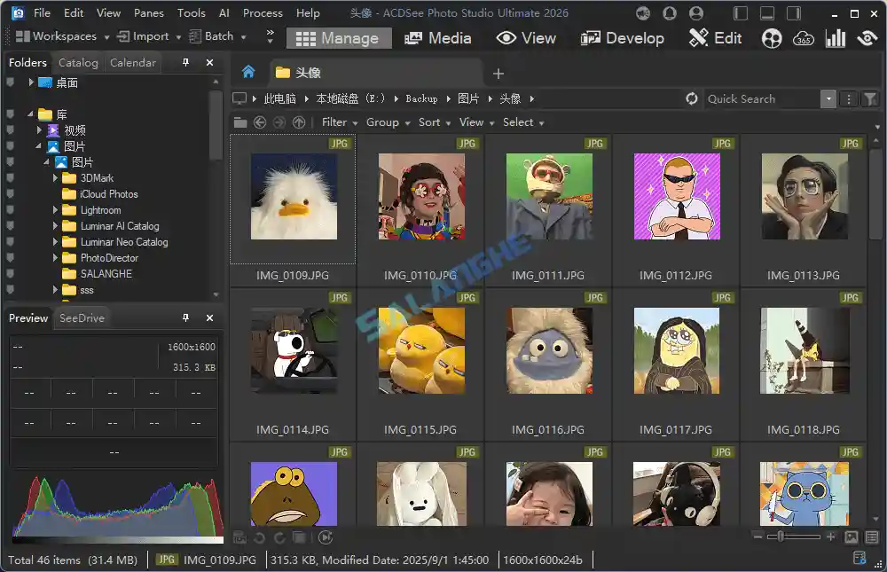 ACDSee Photo Studio 2026(v19.0.0.4295) 破解版