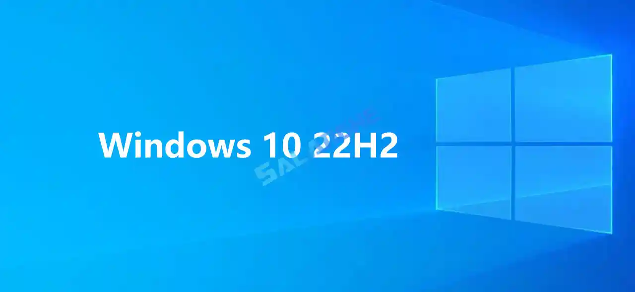 Windows 10 22H2 Build 19045.6396 RTM
