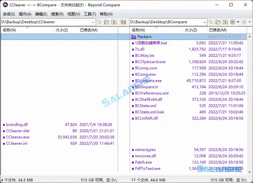 Beyond Compare (文件校验) v5.1.6.31527 中文破解版