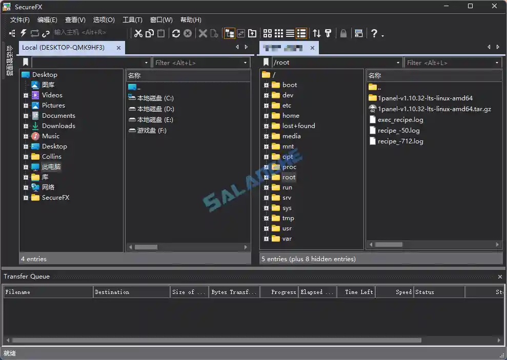 SecureFX 9.6.4 中文便携+绿色版