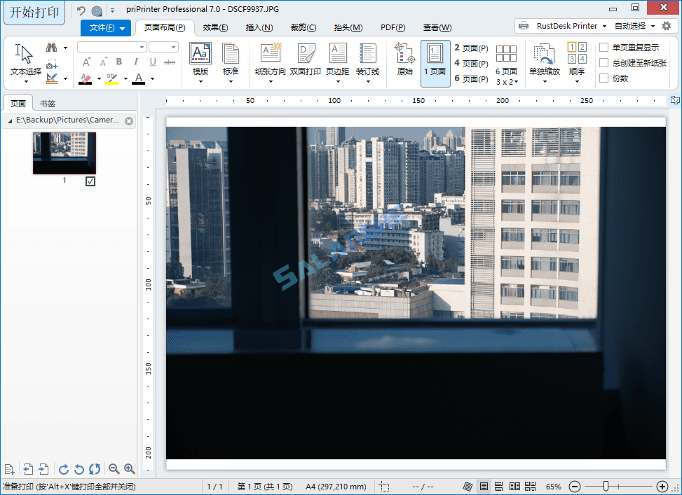 priPrinter Professional v7.0.0.2608 破解版