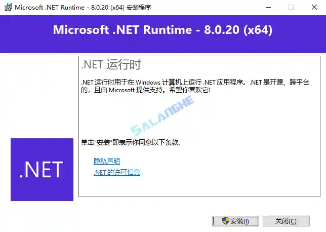 Microsoft .NET Runtime(.NET8.0) v8.0.21