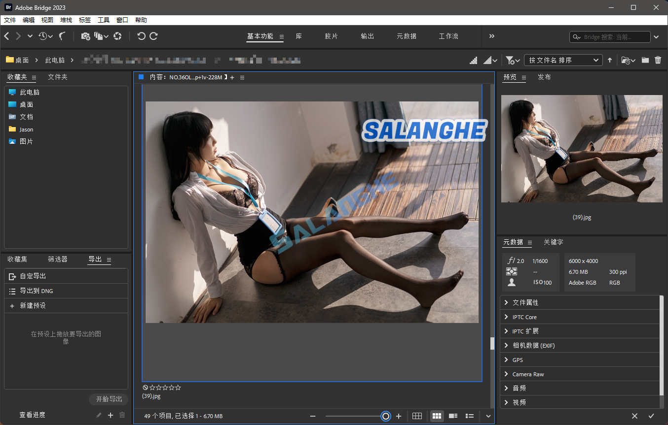 Adobe Bridge 2023 v13.0.1.583.0 破解版