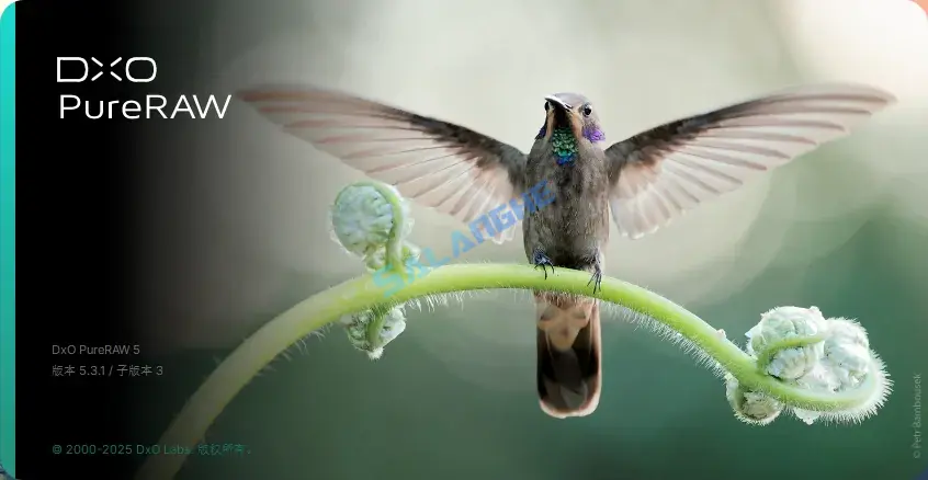DxO PureRAW5 v5.3.1 Build 3 中文破解便携版