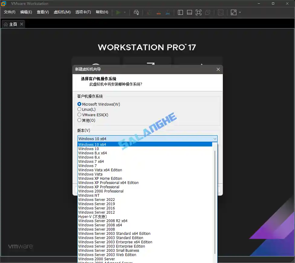 VMware Workstation PRO v17.0.2 正式版