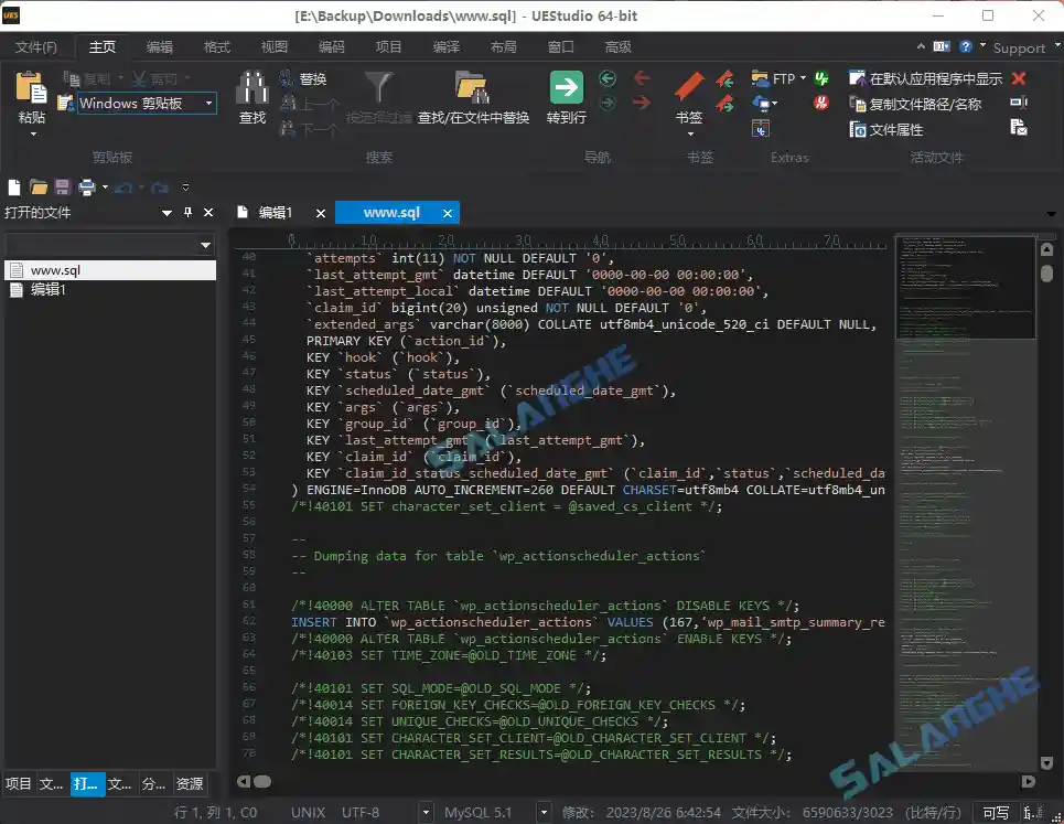 IDM UEStudio中文破解版v25.1.0.20 绿色版