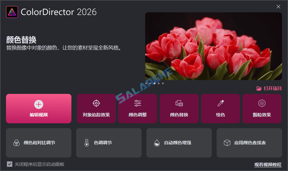 ColorDirector (视频调色软件 2026 v14.0.5921.11 极致版