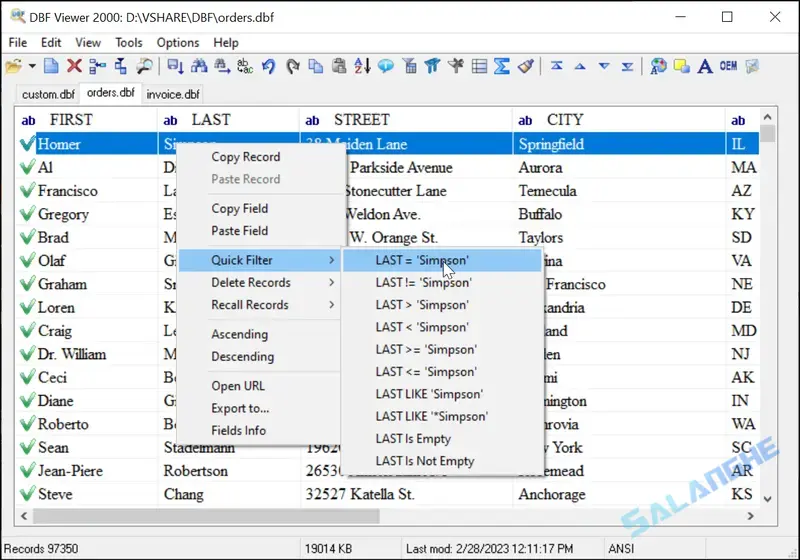 DBF Viewer 2000 (查看和编辑DBF文件) v8.89.1 便携版