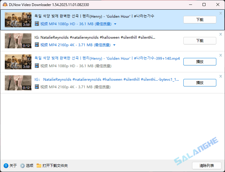 DLNow Video Downloader v1.54.2025.11.08 便携版