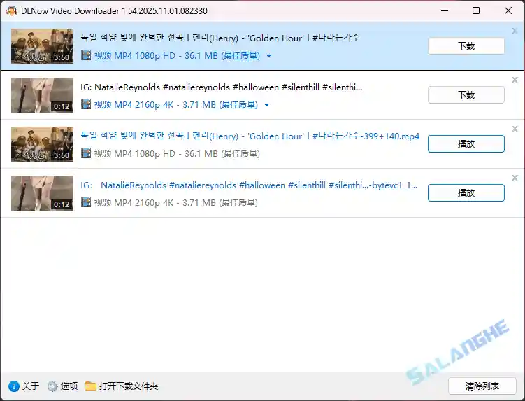 DLNow Video Downloader v1.54.2025.11.08 便携版