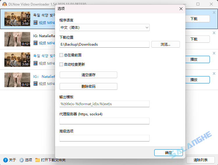 DLNow Video Downloader v1.54.2025.11.08 便携版