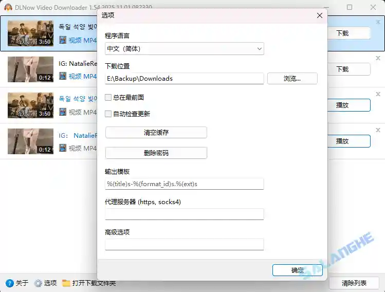 DLNow Video Downloader v1.54.2025.11.08 便携版