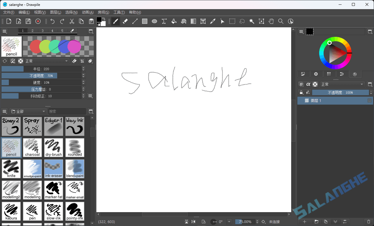 Drawpile (协同绘图工具) v2.3.0 中文绿色版