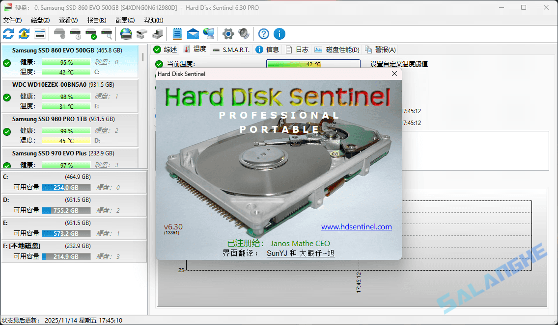 Hard Disk Sentinel (固态硬盘监控) v6.30 / 6.30.5 Beta 便携版