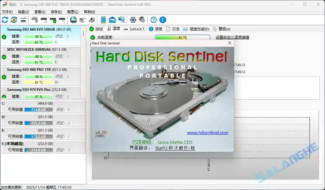 Hard Disk Sentinel (固态硬盘监控) v6.30 / 6.30.5 Beta 便携版