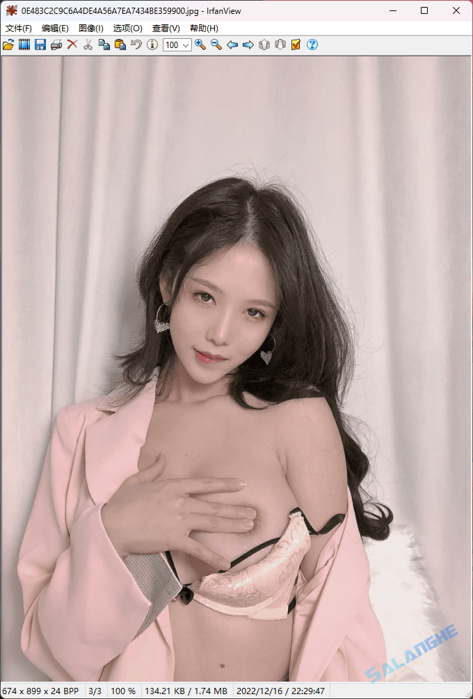 IrfanView (图像浏览器) v4.73 中文绿色版