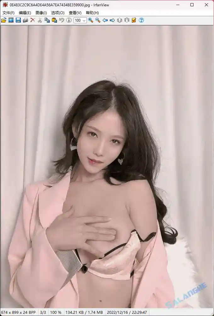 IrfanView (图像浏览器) v4.73 中文绿色版