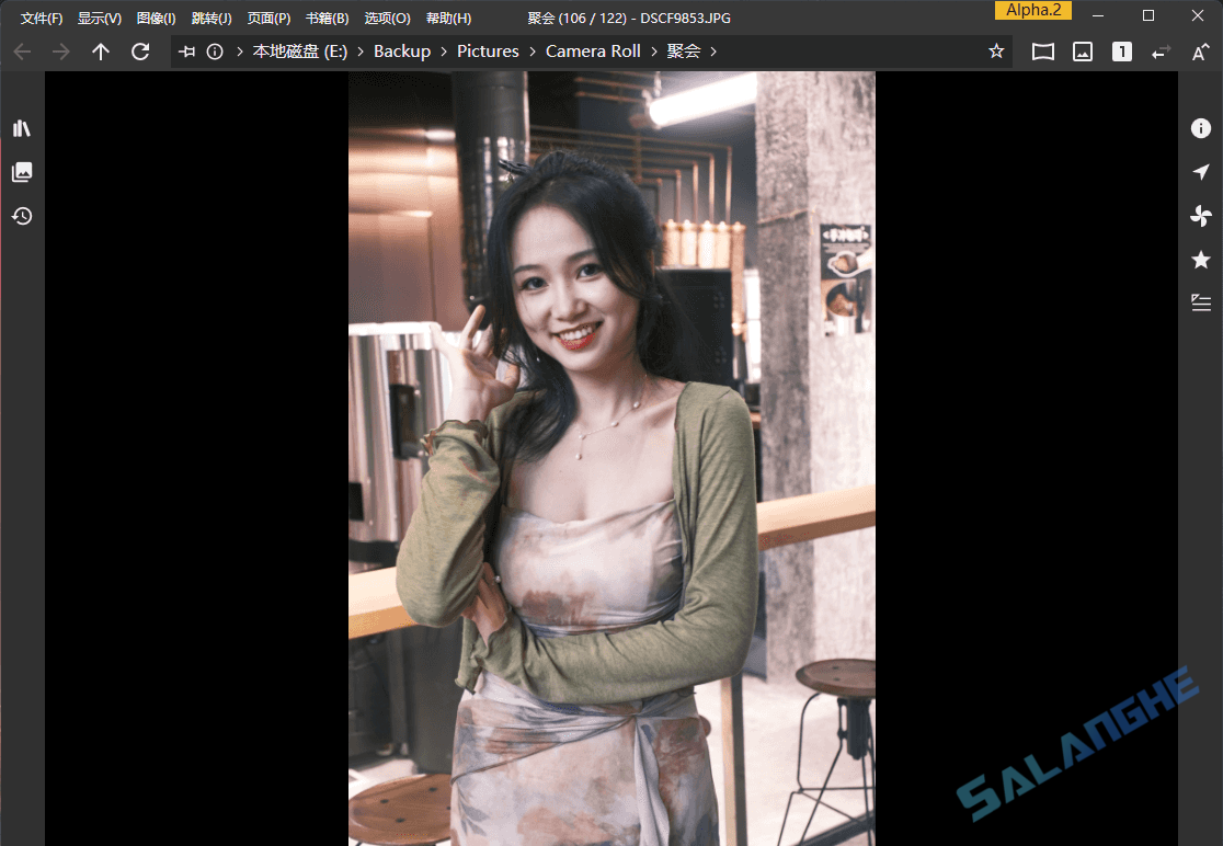 NeeView (图片浏览器) v44.1 / 45.0 Alpha2 中文绿色版