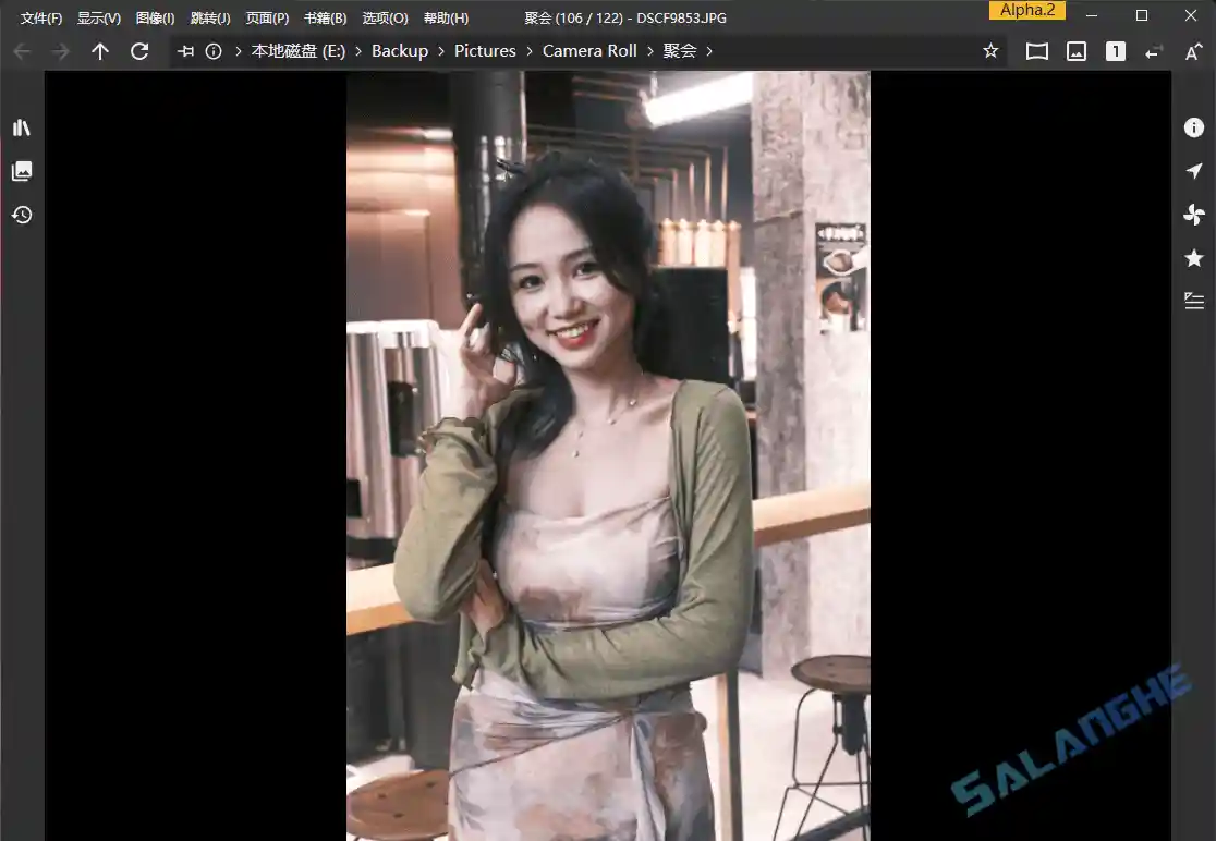 NeeView (图片浏览器) v44.1 / 45.0 Alpha2 中文绿色版