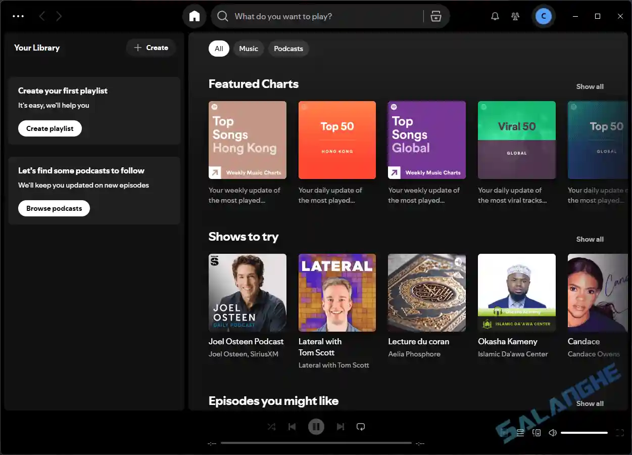 Spotify (音乐平台) v1.2.75.510 便携版