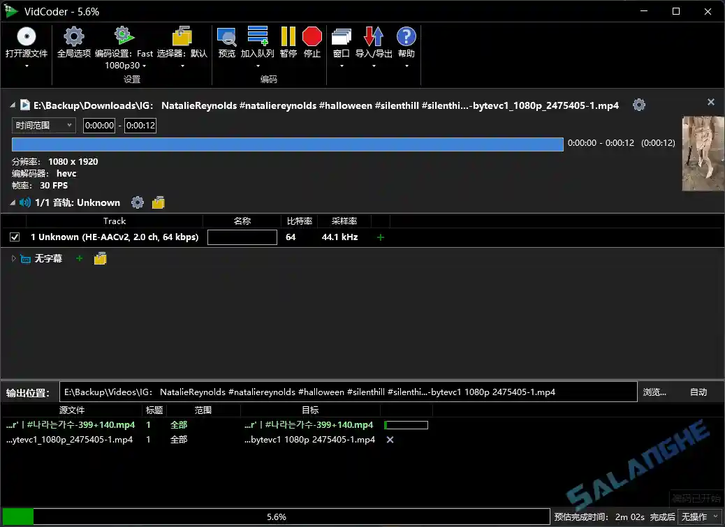 VidCoder (视频转换工具) v12.12 便携版