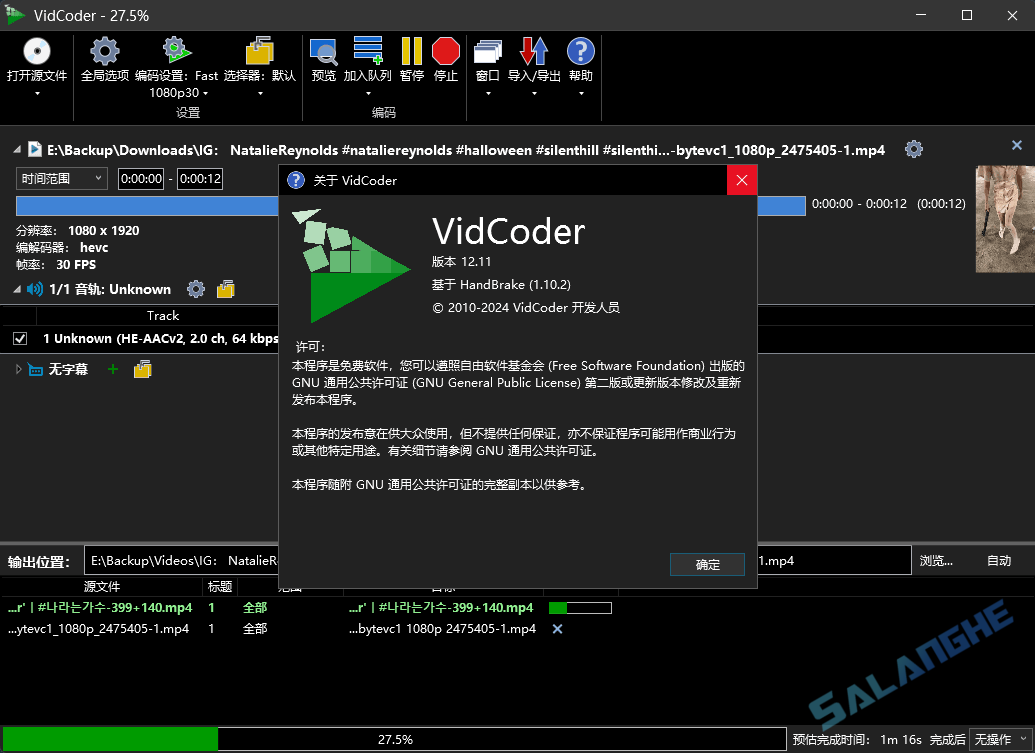 VidCoder (视频转换工具) v12.12 便携版