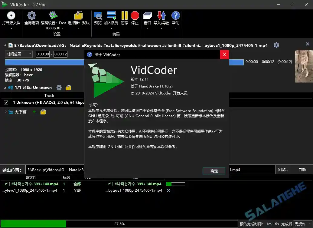 VidCoder (视频转换工具) v12.12 便携版