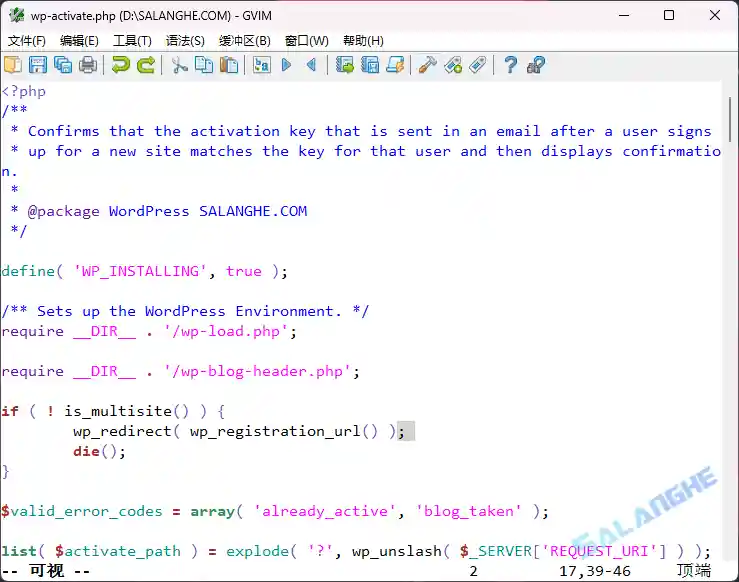Vim编辑器 v9.1.1900 中文绿色版