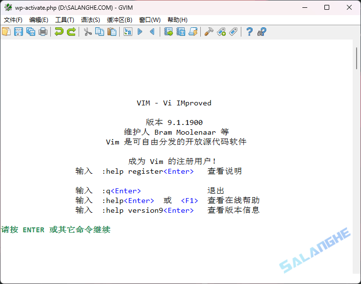 Vim编辑器 v9.1.1900 中文绿色版