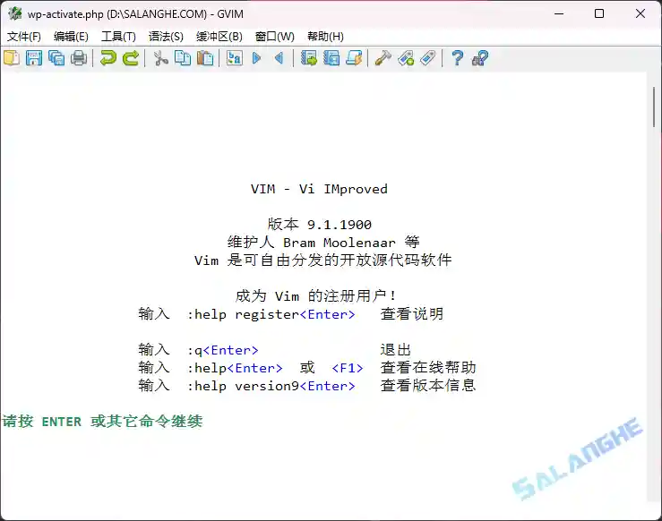 Vim编辑器 v9.1.1900 中文绿色版
