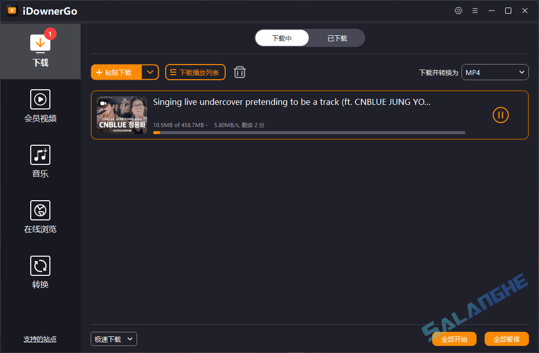 iDownerGo (视频下载工具) v10.9.2 便携版