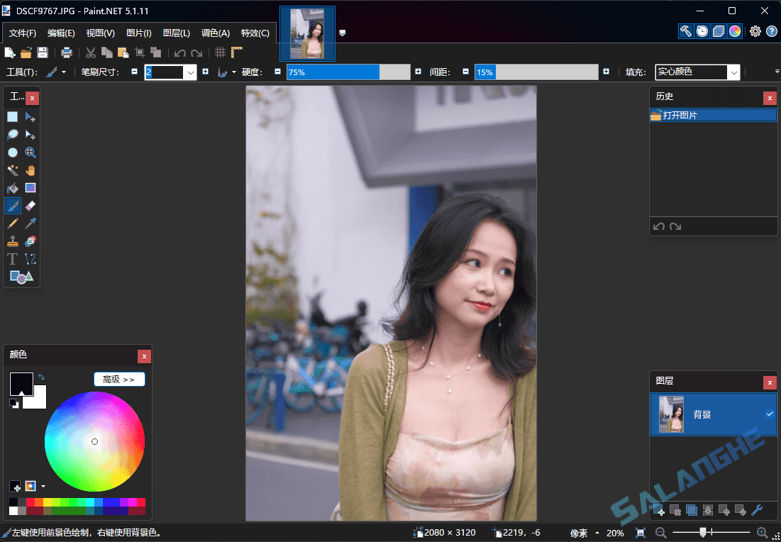 Paint.NET (图像照片处理工具) v5.1.11 中文便携版