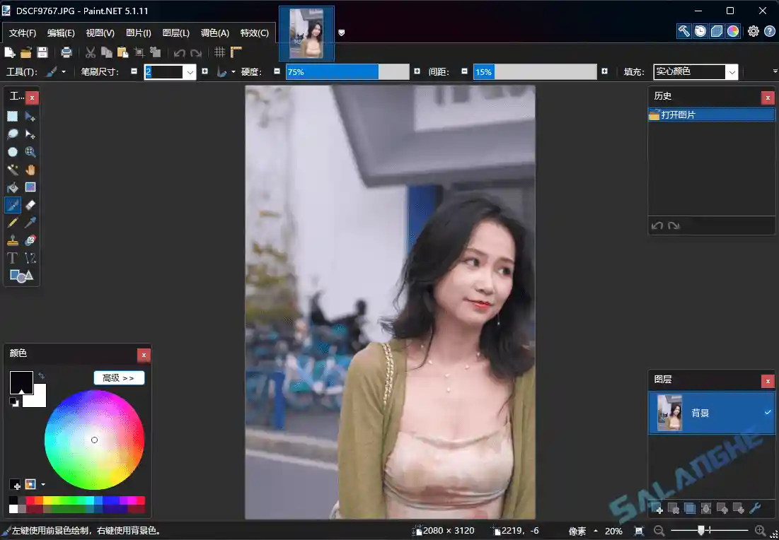 Paint.NET (图像照片处理工具) v5.1.11 中文便携版