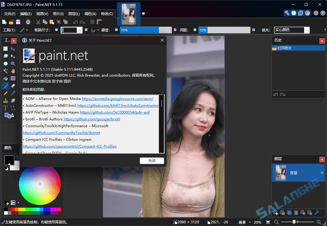 Paint.NET (图像照片处理工具) v5.1.11 中文便携版