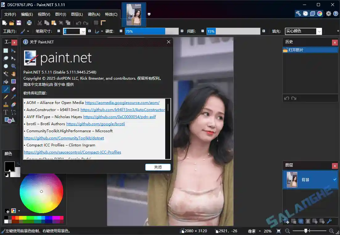 Paint.NET (图像照片处理工具) v5.1.11 中文便携版