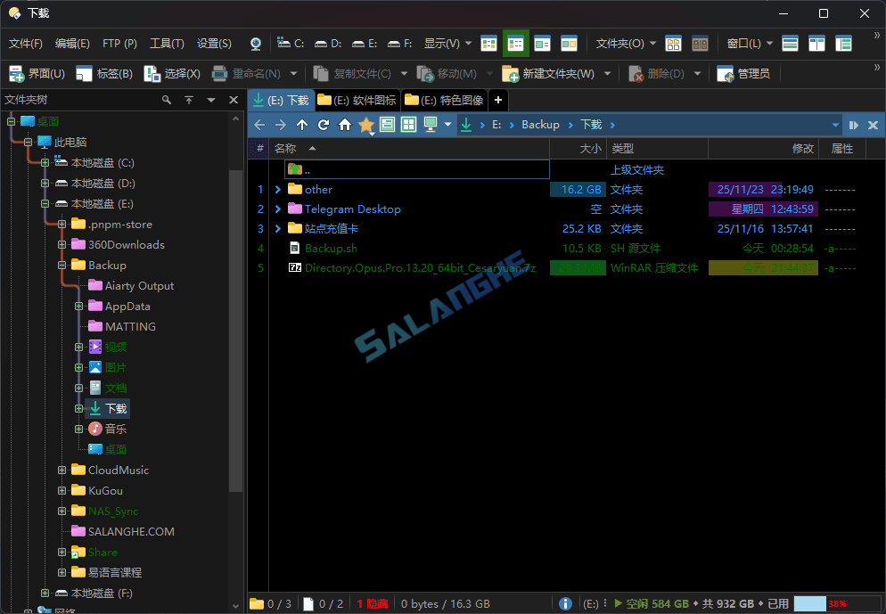 Directory Opus Pro (文件管理器专业版) v13.20 绿色版