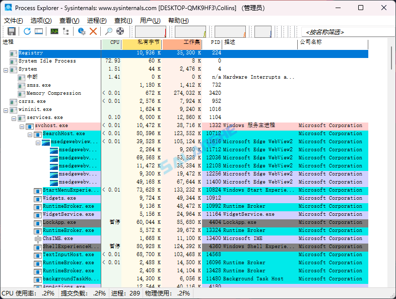 Process Explorer (进程资源管理器) v17.09 绿色单文件版