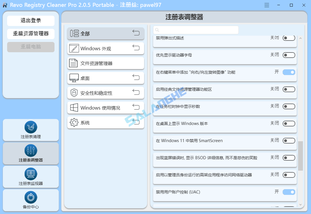 Revo Registry Cleaner Pro (注册表清理优化) v2.0.5 绿色便携版