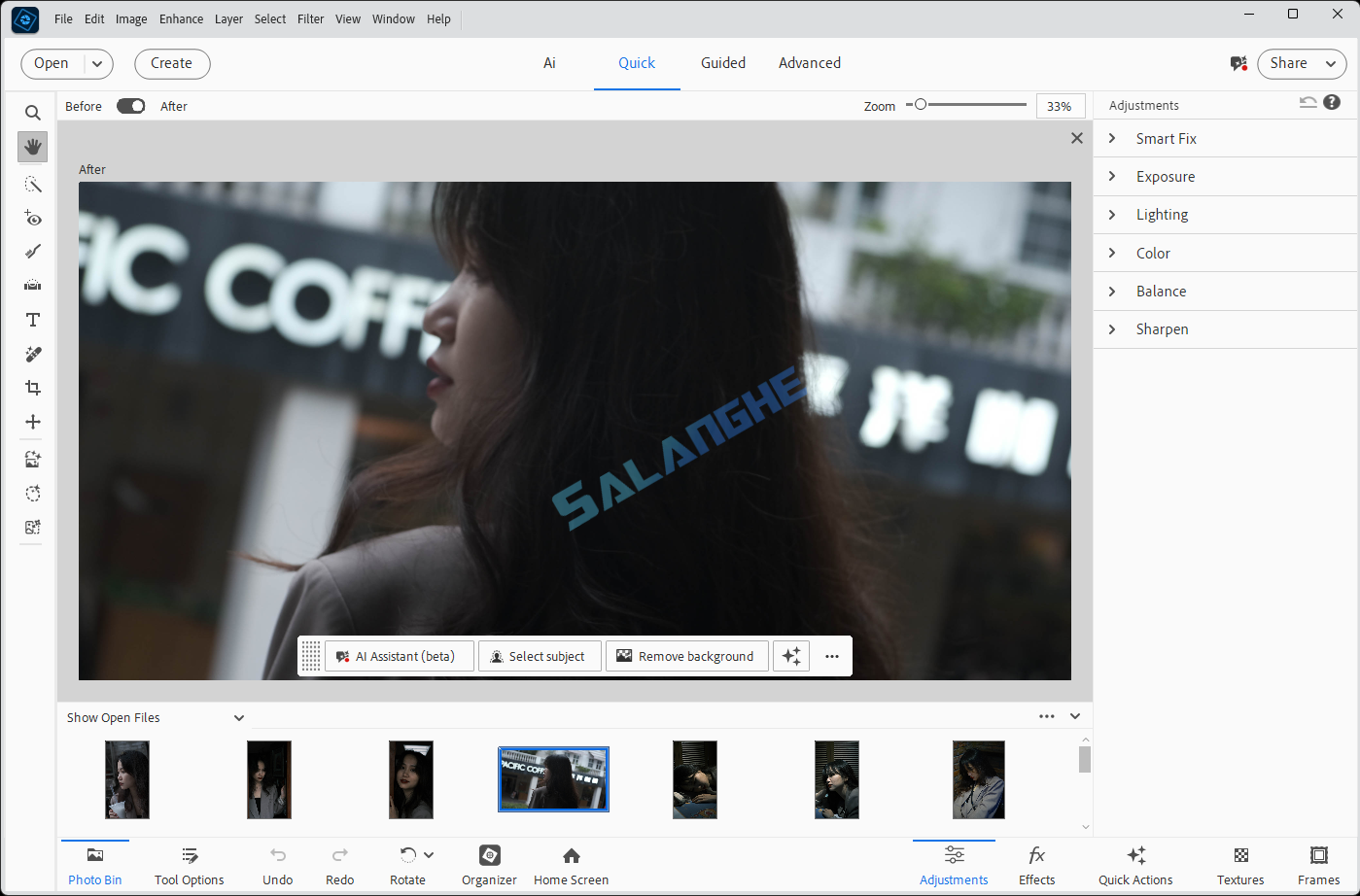 Adobe Photoshop Elements 2027 v27.0.0