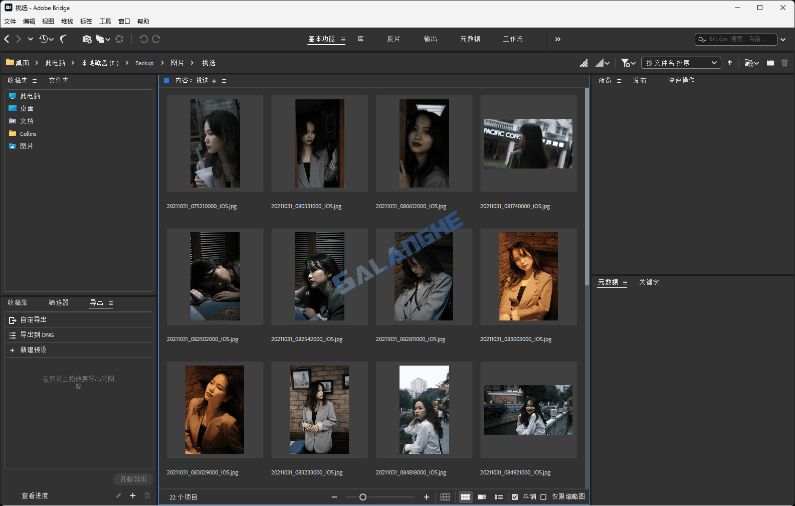 Adobe Bridge 2026 (v16.0.7.36.00) 中文版