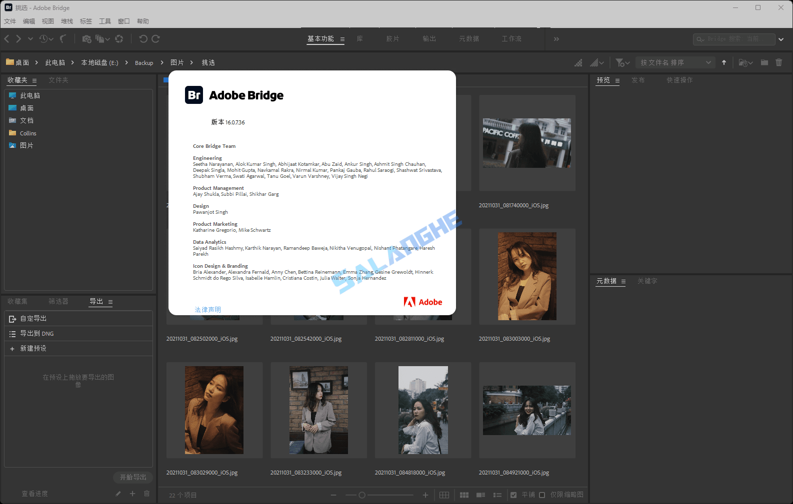 Adobe Bridge 2026 (v16.0.7.36.00) 中文版