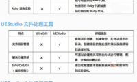 IDM UEStudio_v21.10.0.32_中文绿色特别版